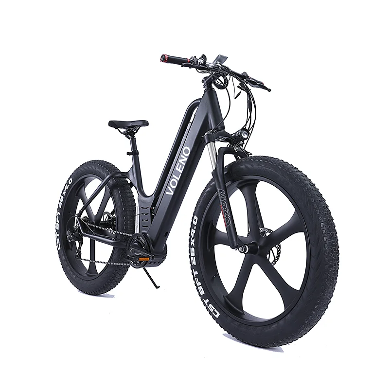 VOLENO 20 Inch Mountain Bike 48v Fat Tire Ebike Lithium Battery Electric Bicycle
VOLENO 20 Inch Mountain Bike 48v Fat Tire Ebike Lithium Battery Electric Bicycle