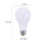 Saree Party Wear Different Intelligent New Style Light Bulbs