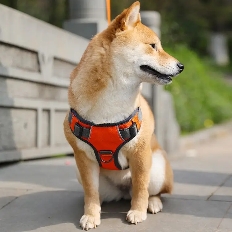 Dog Collar Accessories Adjustable High Visibility Custom Soft Pet Vest Harness, Customized
Dog Collar Accessories Adjustable High Visibility Custom Soft Pet Vest Harness, Customized