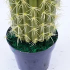 Cactus Plants Cactus Guangzhou Supply Plastic Artificial Indoor Cactus Plants