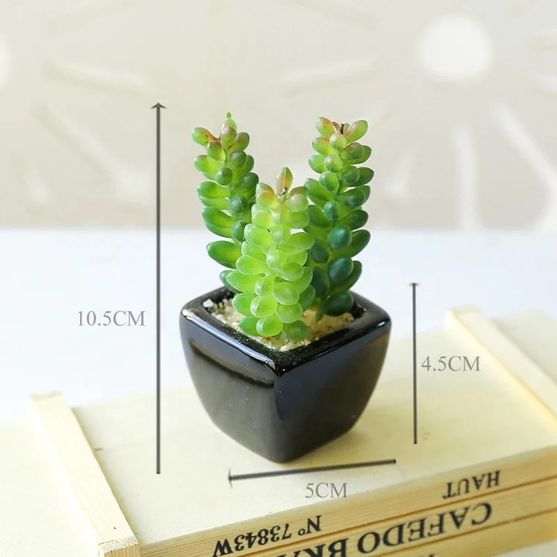 Best Sell Wholesale Artificial Succulent Plant Bonsai Multi Design Green Artificial Plant
Best Sell Wholesale Artificial Succulent Plant Bonsai Multi Design Green Artificial Plant