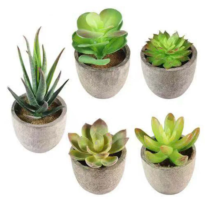 artificial cactus plants with flower pot paper small plant pot paper pot for plants, Customized
artificial cactus plants with flower pot paper small plant pot paper pot for plants, Customized