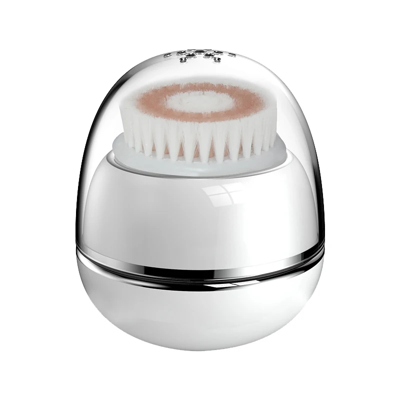 Best Hot Selling Products 2021 Skincare Face Brushes with Replacement Brush Head/Red Light Wave, White
Best Hot Selling Products 2021 Skincare Face Brushes with Replacement Brush Head/Red Light Wave, White