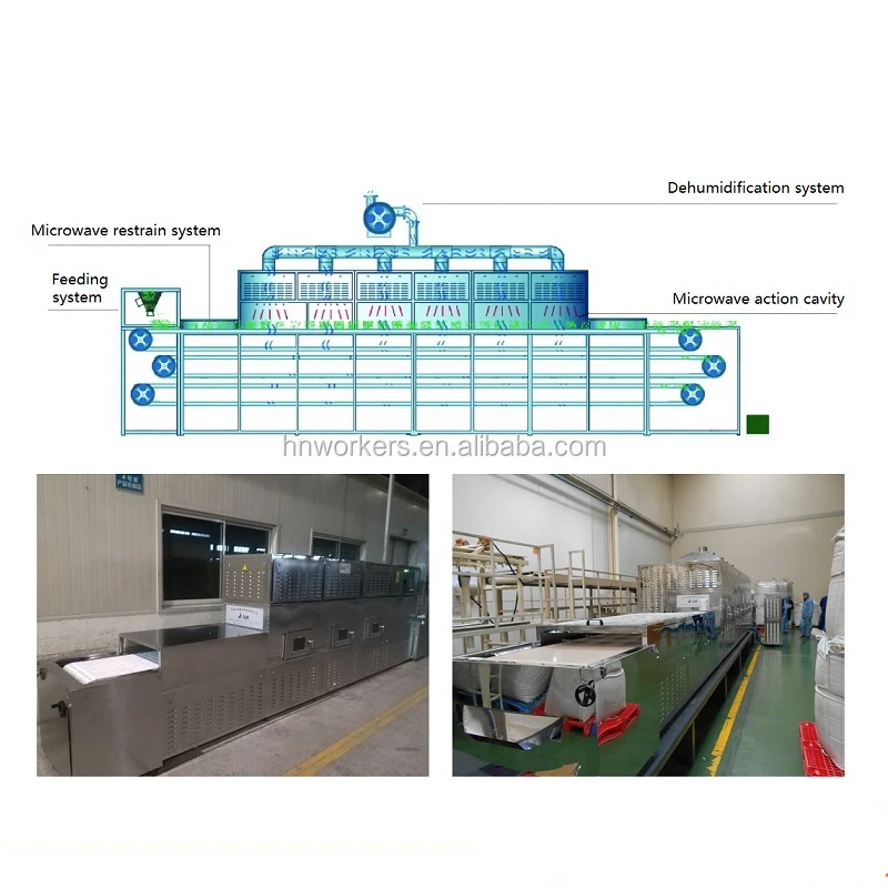 Sterilization sterilizing konjac chrysanthemum soybea sterilizer mesh belt conveyor microwave drying equipment with best quality