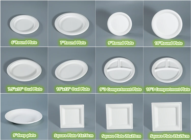 sugarcane pulp plate