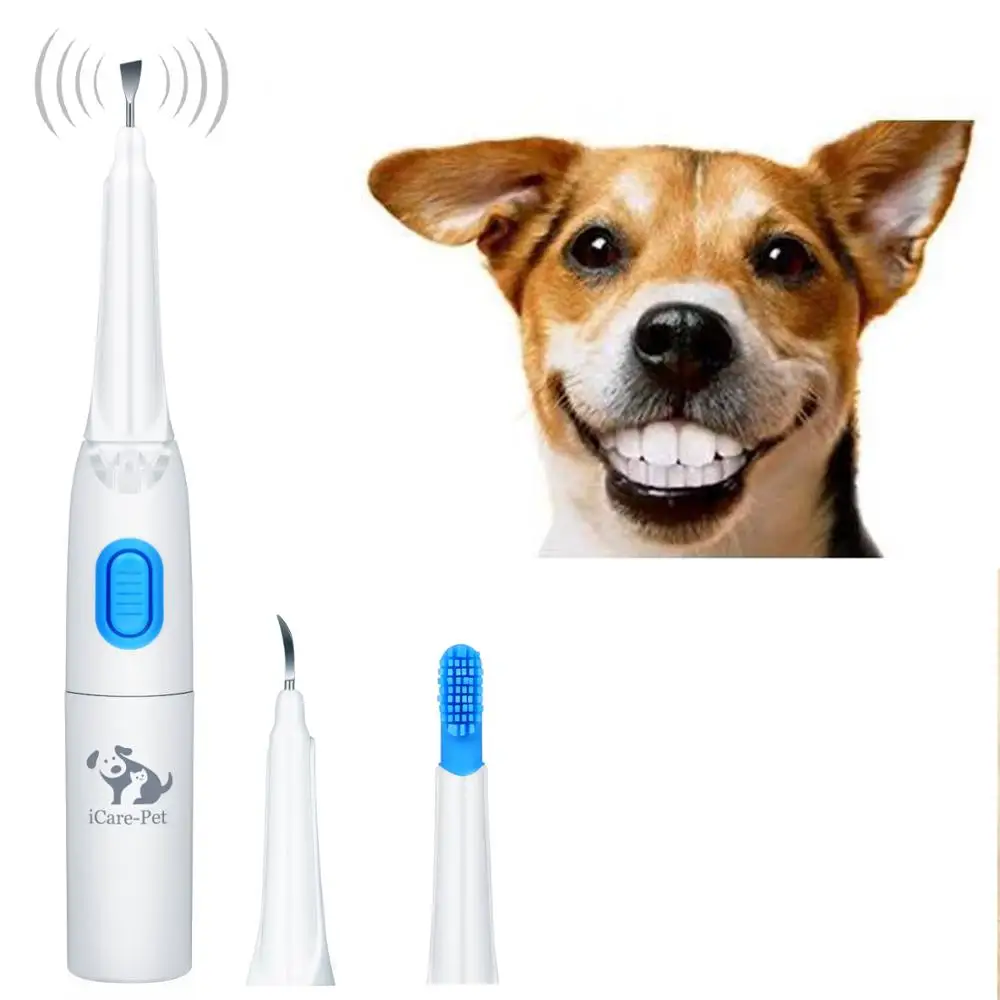 electric toothbrush for dogs