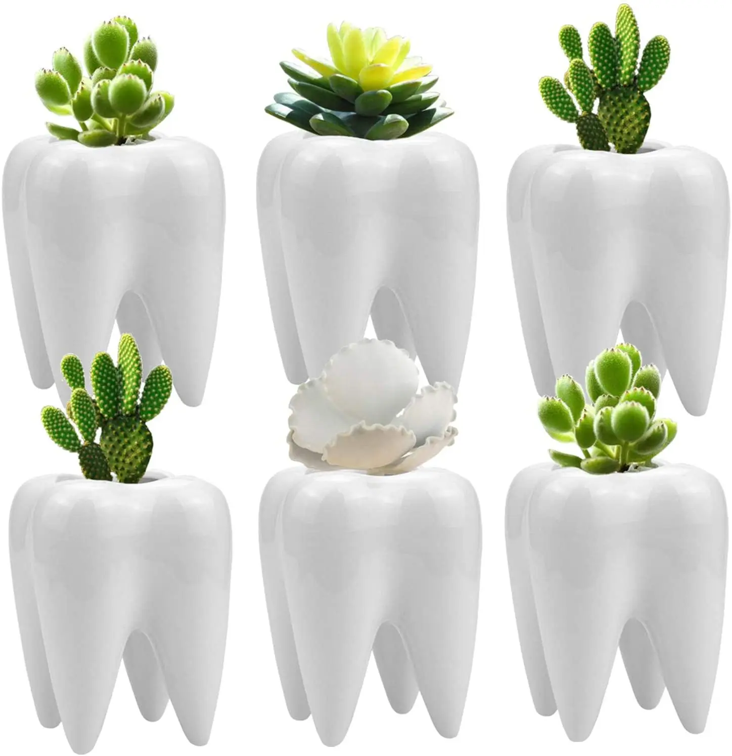 Stock Hot sale Tooth Shape Planter Pot Ceramic Cactus Planter Pot Modern Style Pen Holder Pot For Plant
Stock Hot sale Tooth Shape Planter Pot Ceramic Cactus Planter Pot Modern Style Pen Holder Pot For Plant
