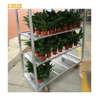 Factory Wholesale Greenhouse Vertical Planting Plant Nursery Flower Rack/ Racking Trolley