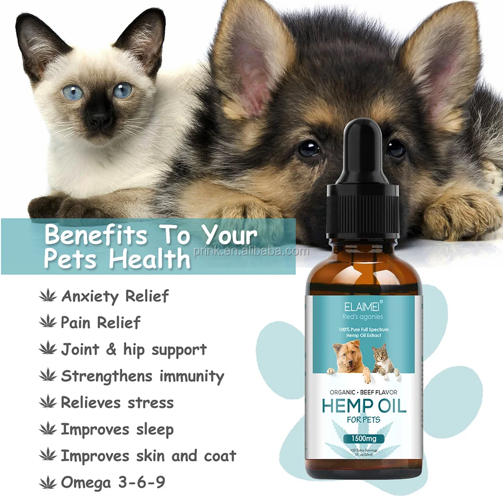  Essential Oils for Pets: The Ultimate Guide to Natural Wellness