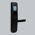 Zinc Alloy Biometric Door Lock Hot Sale House Security Smart Biometric Recognition Face Door Lock