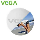 VEGA slimming L-carnitine 99% powder feed grade made in china