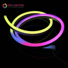 Digital SMD 5050 SPI Addressable 24v 12v Pixel Light Strep RGB Dmx LED Flat Neon Flex