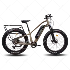 2020 Best Selling Low Price E Cycle Hub Motor for 750W And Max speed 45km/h Electric Fat Tire Mountain Bike
