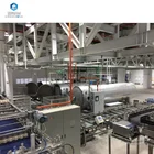 Coconut Processing Line Coconut Water And Coconut Milk Production Plant