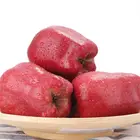 Wholesale new fresh red huaniu apple Chinese crispy delicious apple