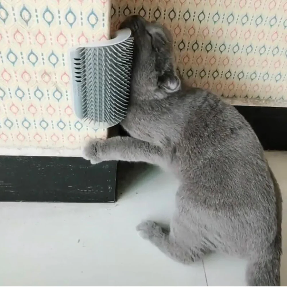 Pet Cat Comfortable Massager Corner Massage Brush Plastic Fixed Hair Removal Comb Scratch Itches Pet Grooming Supplies with cat
Pet Cat Comfortable Massager Corner Massage Brush Plastic Fixed Hair Removal Comb Scratch Itches Pet Grooming Supplies with cat