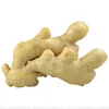 /product-detail/wholesale-price-china-organic-fresh-ginger-62226165853.html