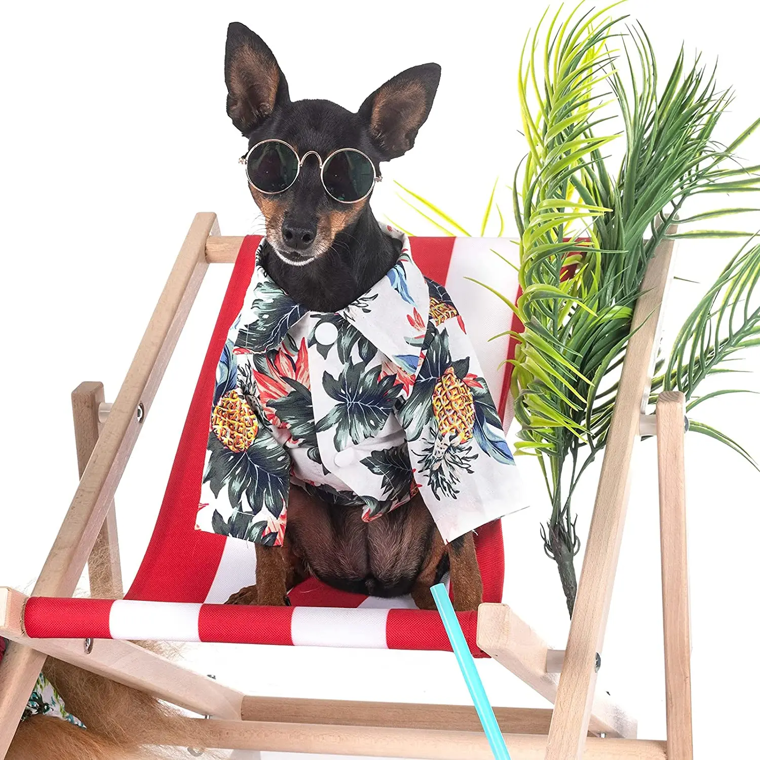 Dreamzoo Dropshipping Amazon top seller New Summer Pet Dog Clothes Small Dog T Shirt French Bull pet dog Clothes, Customized color
Dreamzoo Dropshipping Amazon top seller New Summer Pet Dog Clothes Small Dog T Shirt French Bull pet dog Clothes, Customized color