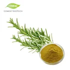 Leaf Rosemary Extract HPLC Bulk 60% Carnosic Acid Powder