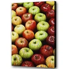 Modern Multiple Color Apple Arrangement Picture Realistic Fruit Decor Art Oil Painting