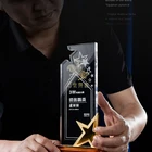 Trophy New Design Company Acrylic Trophy School