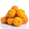 /product-detail/the-fresh-oranges-are-packed-in-12kg-baskets-at-an-excellent-price-60536756648.html