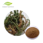 Huperzia Serrata Extract Free Sample Powder 1% 98% Huperzine A By HPLC