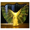 /product-detail/2019-latest-hot-selling-belly-dance-fairy-wings-for-dancing-oem-lady-s-cape-costume-led-butterfly-wings-62240146081.html
