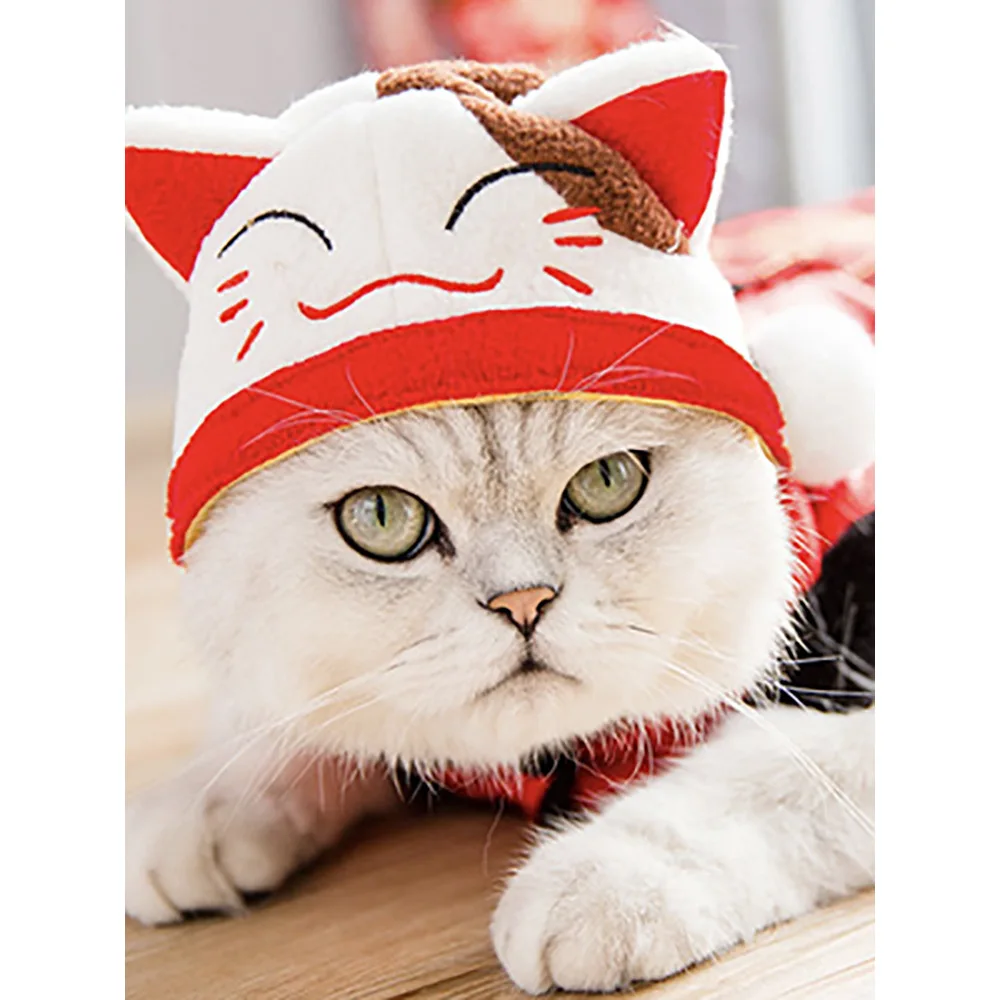 2021 Hot Sale Christmas Hats Bandana Bib Christmas Outfit Pet Hat, Picture or customized color
2021 Hot Sale Christmas Hats Bandana Bib Christmas Outfit Pet Hat, Picture or customized color