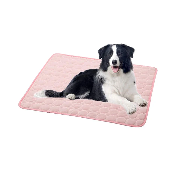 Washable and waterproof ice silk mat nest summer foldable pet cooling pad, Customized color
Washable and waterproof ice silk mat nest summer foldable pet cooling pad, Customized color