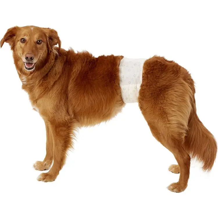 Disposable Male Wrap Dog Diaper Adjustable Pet All-Absorb Male Dog Diapers, Customized
Disposable Male Wrap Dog Diaper Adjustable Pet All-Absorb Male Dog Diapers, Customized
