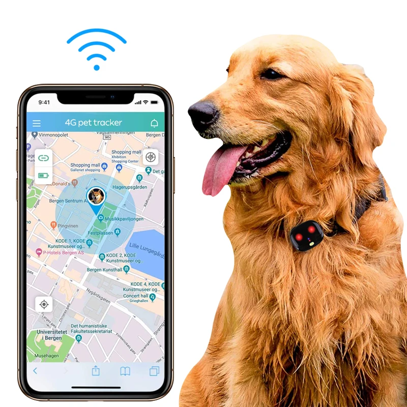 SIM card installation 4G wifi network lovely LED eyes easily recognize in the crowd tracking pet gps
SIM card installation 4G wifi network lovely LED eyes easily recognize in the crowd tracking pet gps