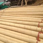 Natural Bleached Bamboo Poles Straight Fumigation for garden