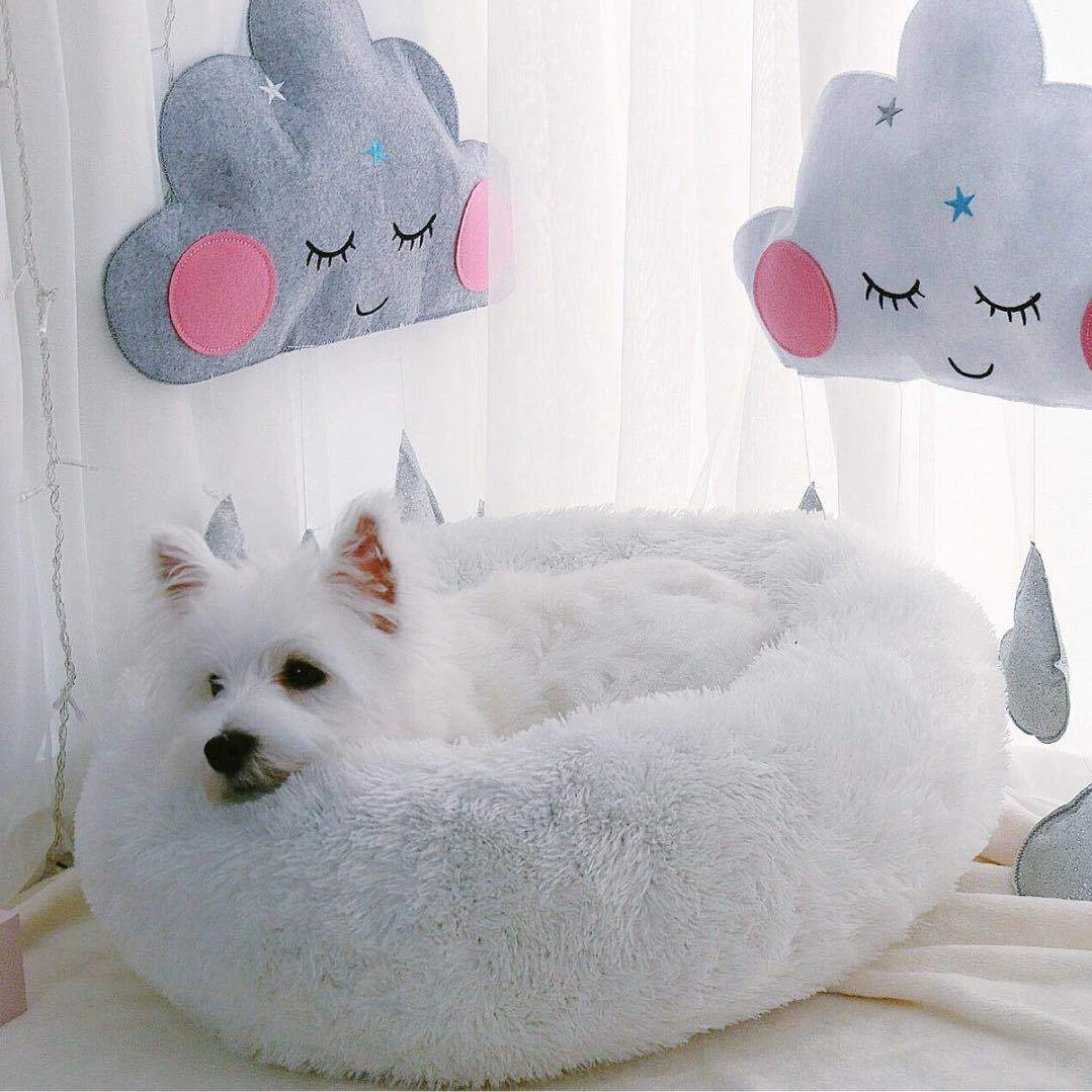 Luxury fashion fluffy faux fur donut round hug pet beds accessories cat dog pet bed for cats
Luxury fashion fluffy faux fur donut round hug pet beds accessories cat dog pet bed for cats