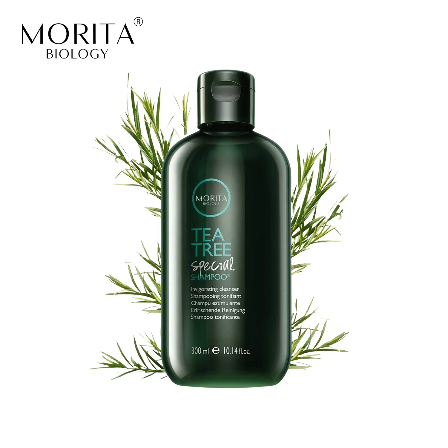 Organic Natural Hotel Shampoo Tea Tree Oil Private Label Shampoo and Conditioner Refreshing Cooling anti lice Tea Tree Shampoo
Organic Natural Hotel Shampoo Tea Tree Oil Private Label Shampoo and Conditioner Refreshing Cooling anti lice Tea Tree Shampoo