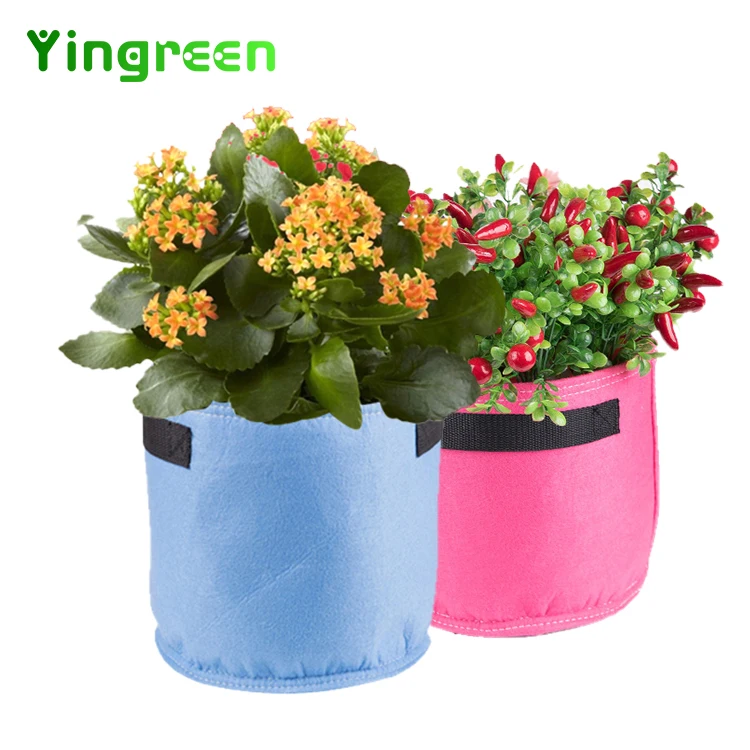 Non Woven Customized Handle 2 3 5 10 Gallon Garden Vegetable Flowers Fabrics Pot Plant Grow Bags, Green,khaki,pink,red,blue
Non Woven Customized Handle 2 3 5 10 Gallon Garden Vegetable Flowers Fabrics Pot Plant Grow Bags, Green,khaki,pink,red,blue