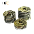 China Manufacturers Durable OEM Galvanized Roofing Common Coil Nail
