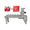 /product-detail/china-low-price-pomegranate-peeling-machine-in-turkish-for-sale-62236659134.html