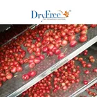 DRYFREE 工業用食品脱水機オーブンオリーブニンニク乾燥機タマネギ乾燥機ココナッツフルーツドライヤー
