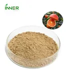 Super fruit Powder Organic Natural Flavor Concentation Juice Blood Orange Powder