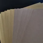 A4 Paper Hot Selling Colorful A4 Uncoated Embossing Waterproof Faux Paper