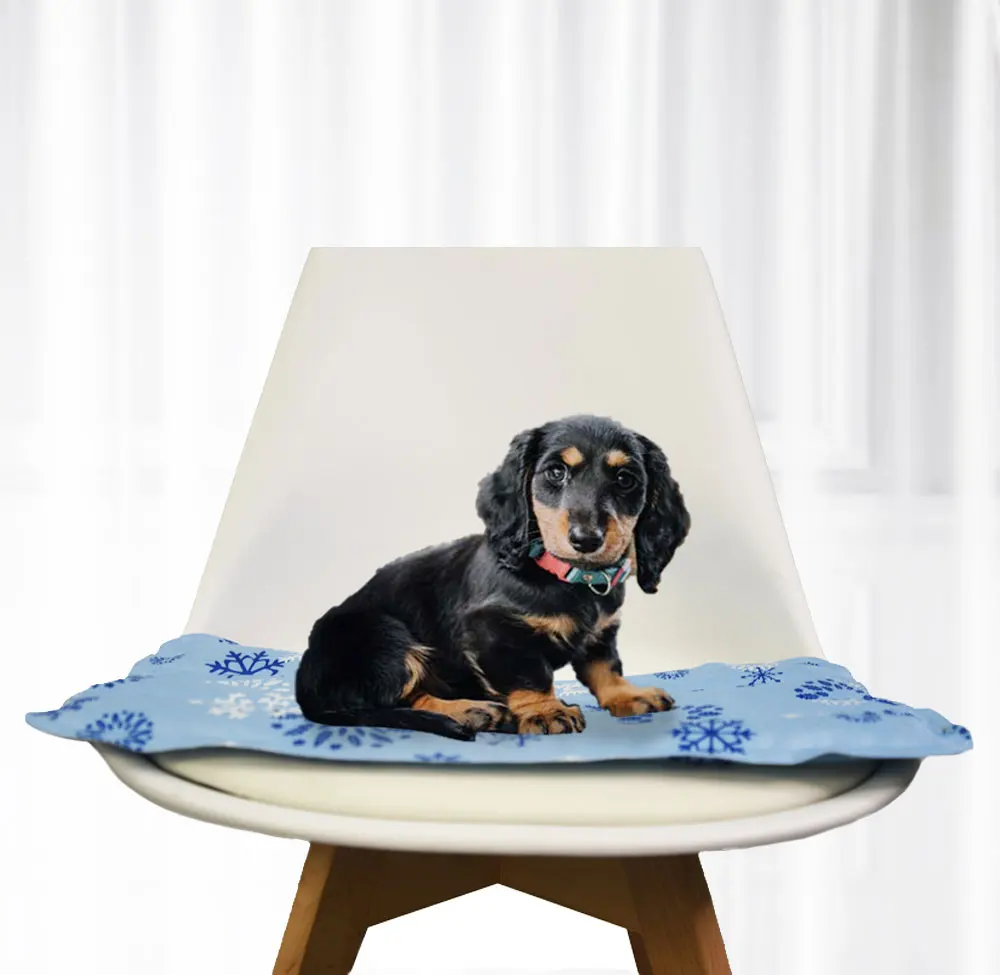 Wholesale new products Gel Waterproof Pet Mat for Dog Cat, in stock dog cooling pet mat, Customized
Wholesale new products Gel Waterproof Pet Mat for Dog Cat, in stock dog cooling pet mat, Customized