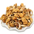 factory wholesale top grade dried nameko mushroom