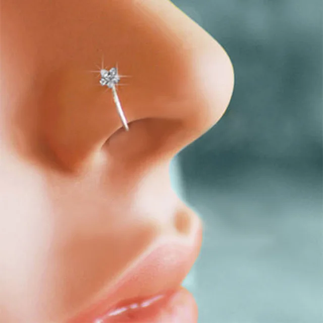 Fashion Flower Crystal Nose Ring Helix Cartilage Piercing Nose Ring for Women, Silver
Fashion Flower Crystal Nose Ring Helix Cartilage Piercing Nose Ring for Women, Silver