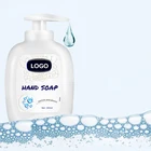 OEM Manufacturer Foam Hand Sanitizer 300ml Disinfectant Antibacterial Moisturizing Household Hand Wash