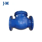 Superior quality pressure reducing cast iron swing check valve dn40