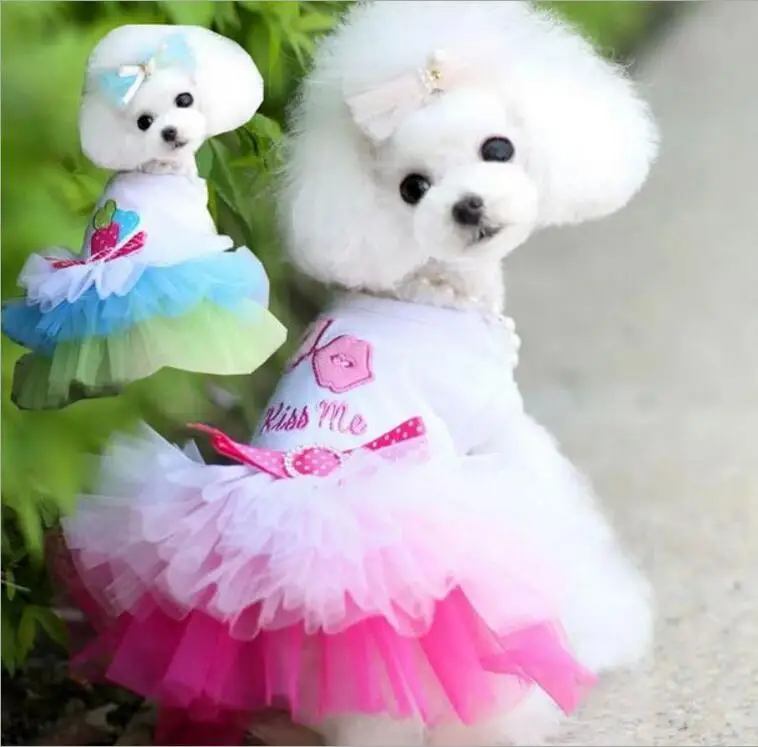 Lips spring summer cool skirt products costume party designer wholesale pet cat dog dress skirt Lips wedding dress
Lips spring summer cool skirt products costume party designer wholesale pet cat dog dress skirt Lips wedding dress