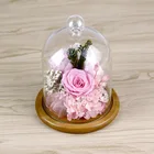 Best Happy Birthday Gift Ideas Preserved Natural Forever Roses Flowers in Glass