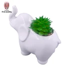Flower Tub Pot Elephant Mini Ceramic Flower Pot Flower Vase Ceramic Flower Pot