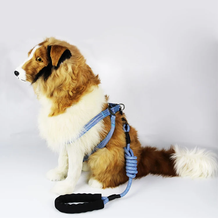 Selling Best Dog Harness No Pull Reflective Dog Harness Luxury Higher Safety Harness With Best Price
Selling Best Dog Harness No Pull Reflective Dog Harness Luxury Higher Safety Harness With Best Price
